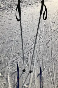 xc ski poles