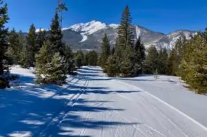 xc ski trail