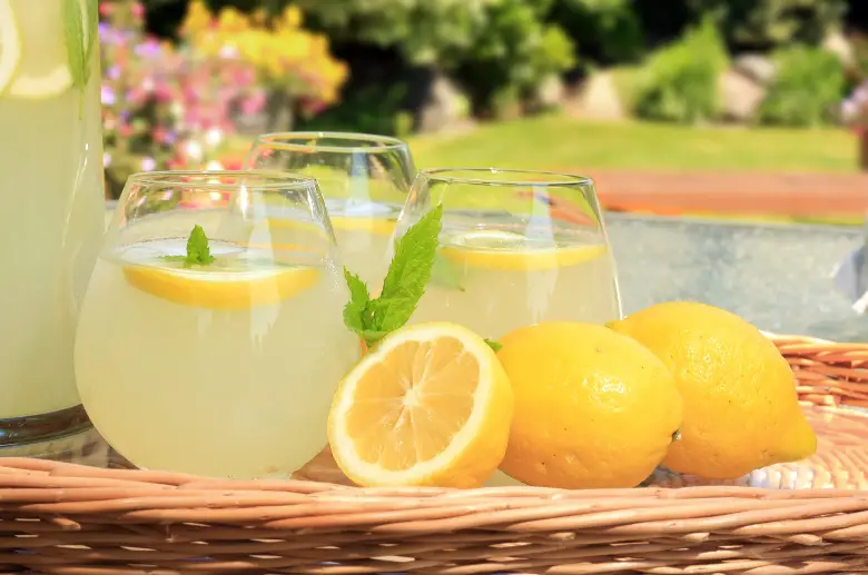 agave lemonade